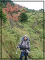2011-11-08 09-57-31回滑雪中心登山口途中.JPG